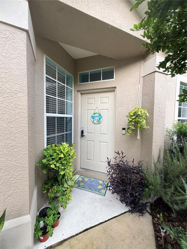 6237 Duck Key Ct., Tampa, FL 33625