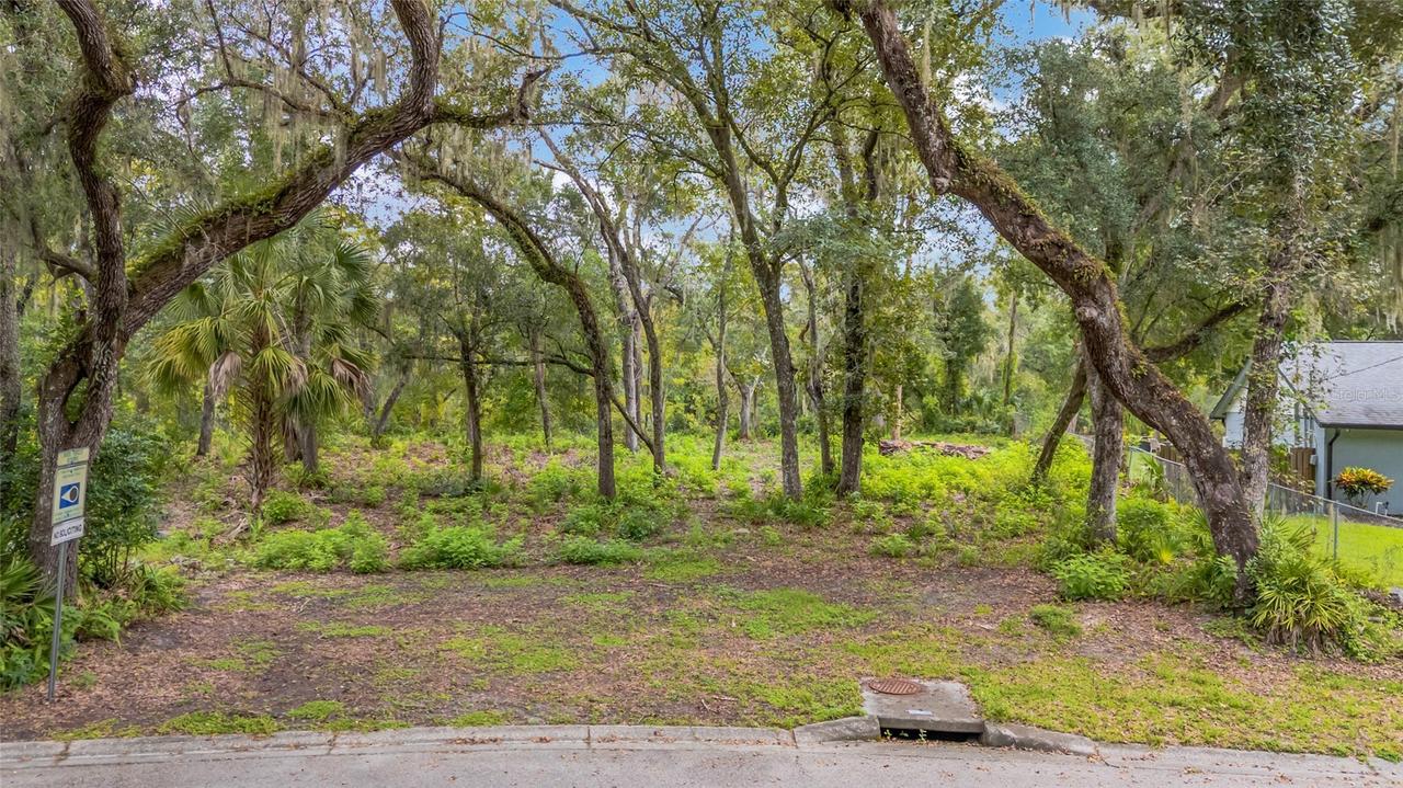 11731 Gail Dr., Temple Terrace, FL 33617