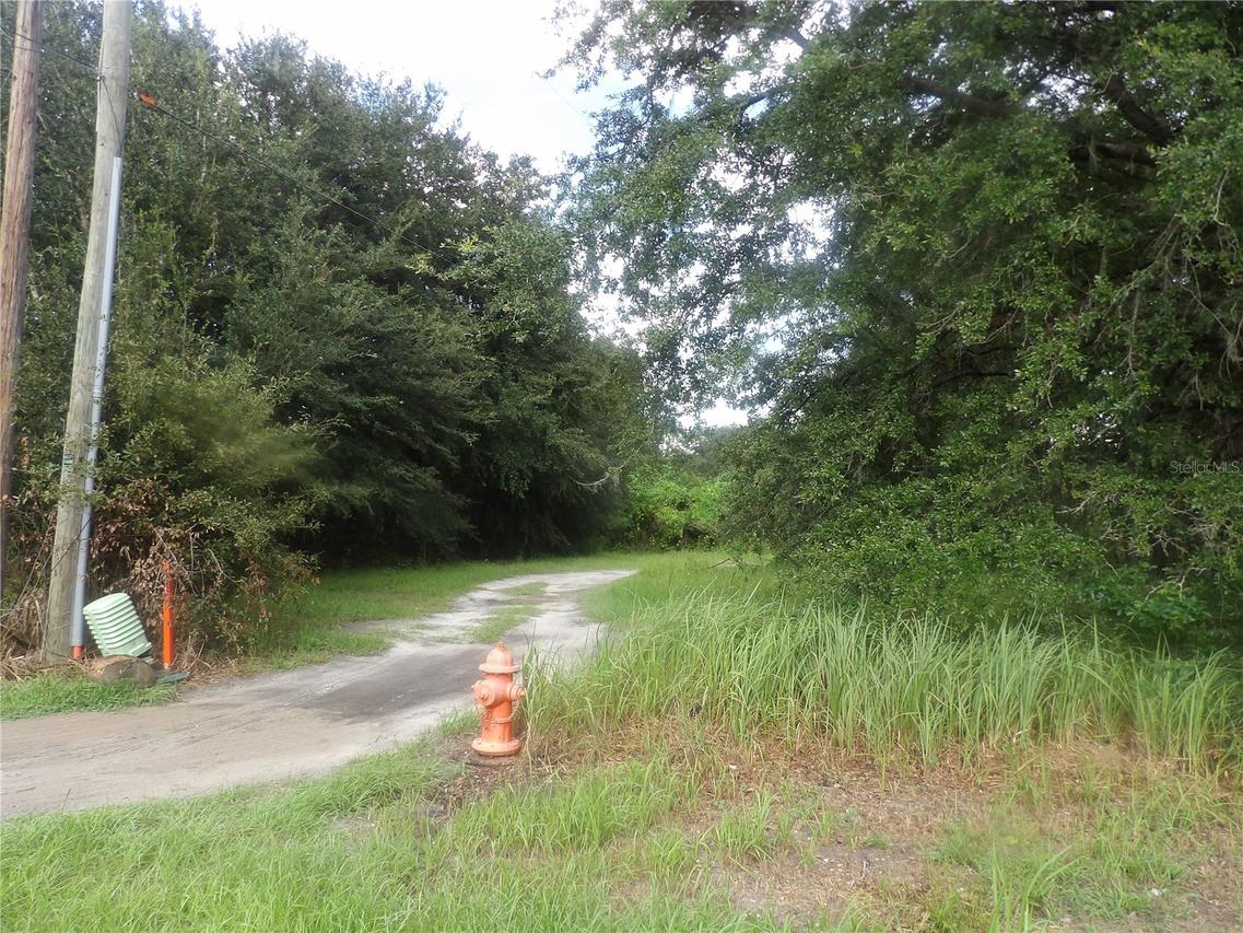 Cain, Mulberry, FL 33860