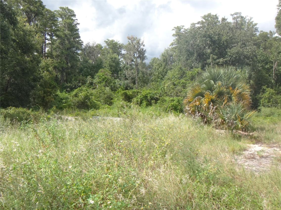 Tamarind Dr., Lake Wales, FL 33898