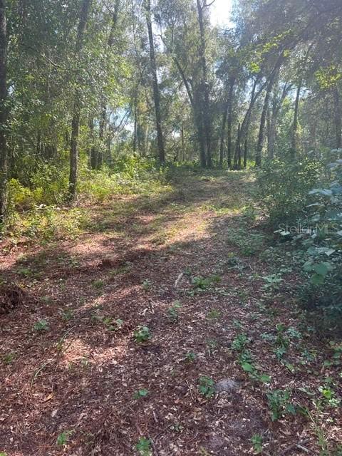 Elaine Dr., Webster, FL 33597