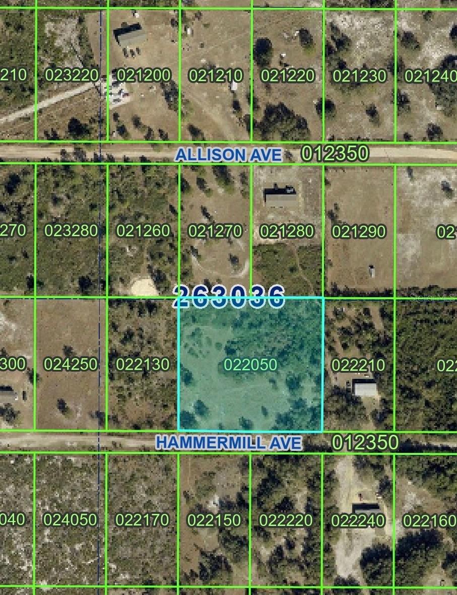 Tracts 563 & 564 Hammermill Ave., Lake Wales, FL 33859