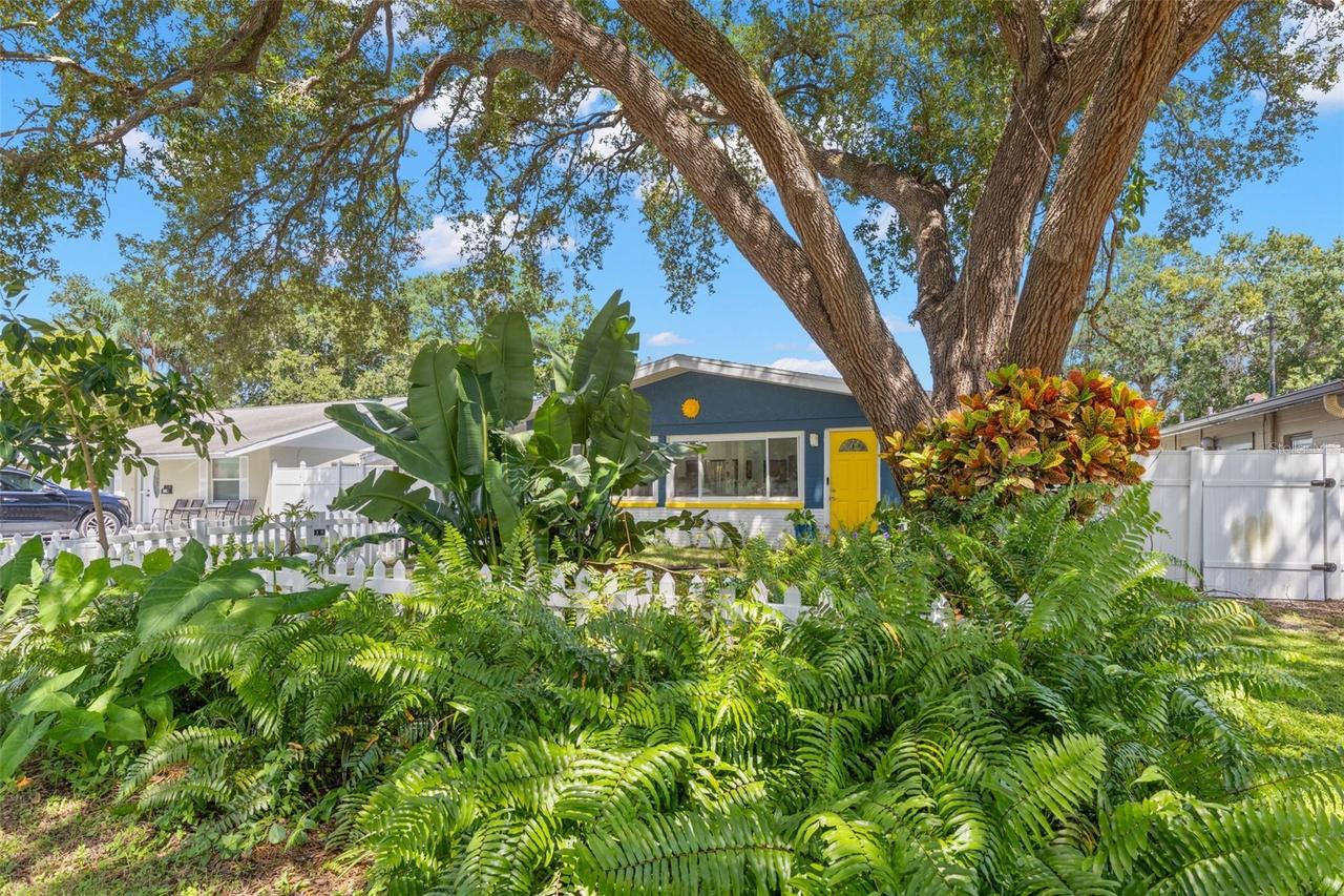 613 Cedarwood St., St Petersburg, FL 33703
