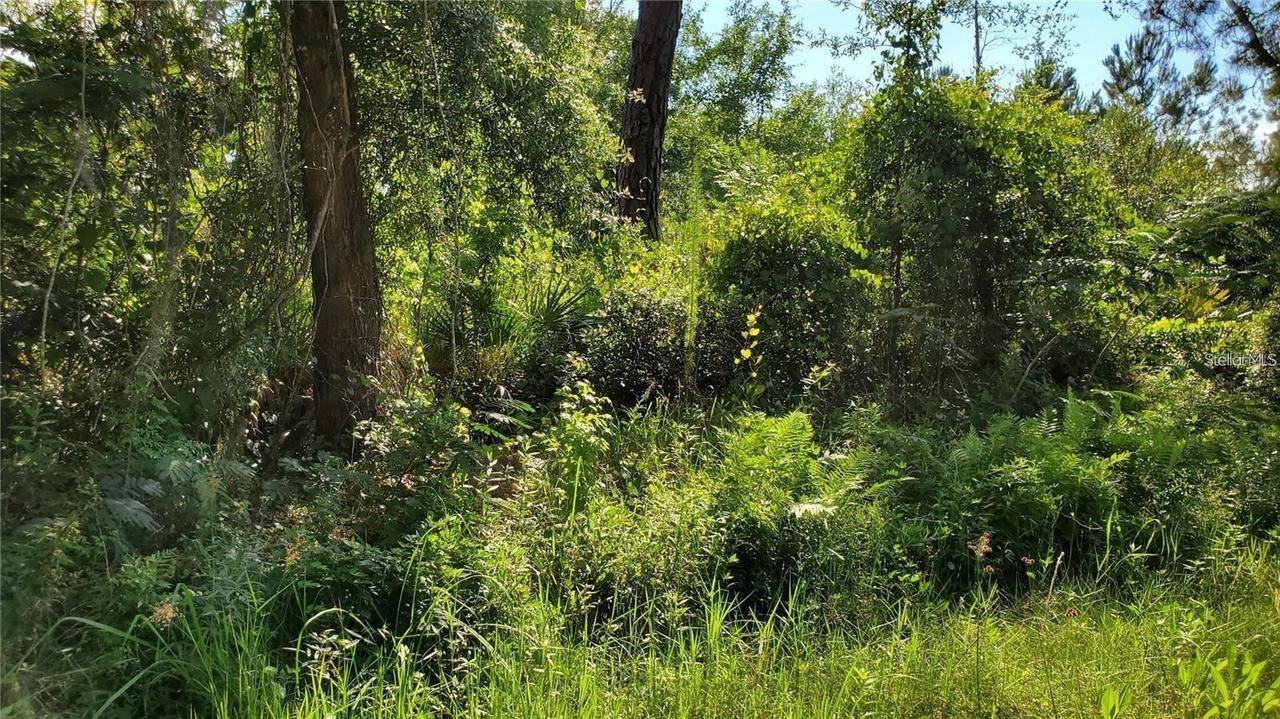 103 Bowfin Dr., Satsuma, FL 32189