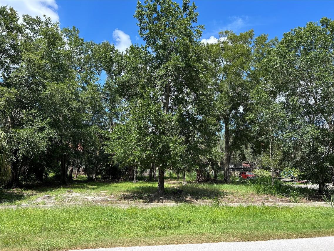 Ventnor Ave., Tarpon Springs, FL 34689