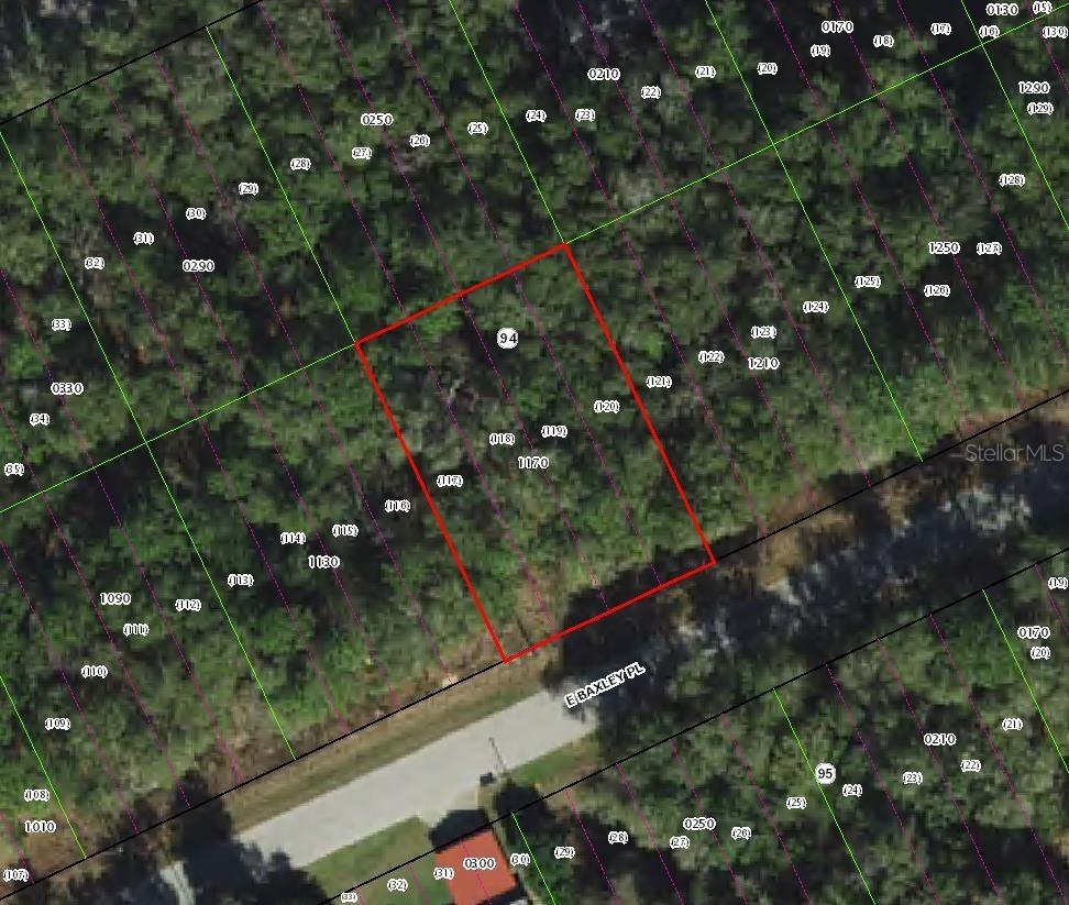 3669 E Baxley Pl., Inverness, FL 34453