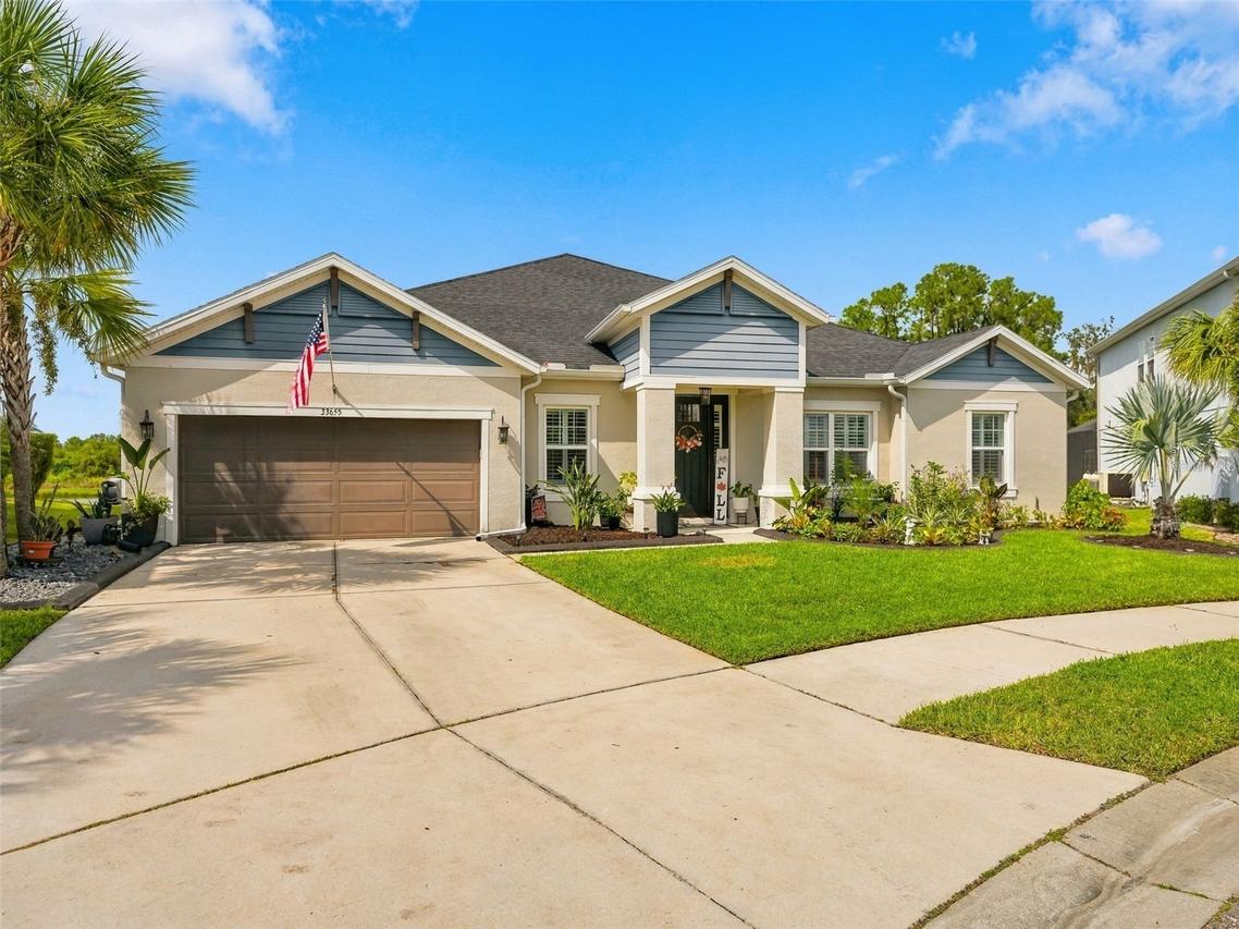 33655 Willow Point Ct., Wesley Chapel, FL 33545