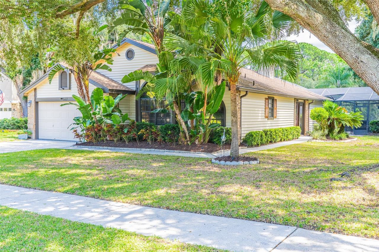 567 Deer Run, Palm Harbor, FL 34684
