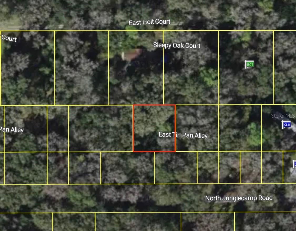 9285 E Tin Pan Alley, Inverness, FL 34453