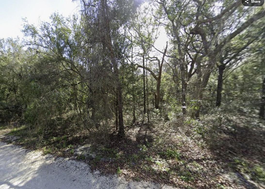 34086 Arrowrock St., Webster, FL 33597