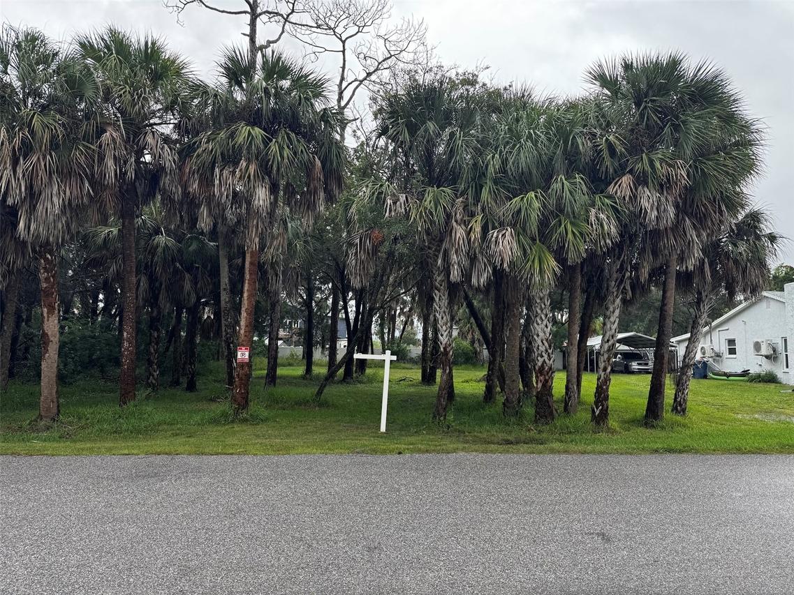 Pinedale Ct., Hernando Beach, FL 34607