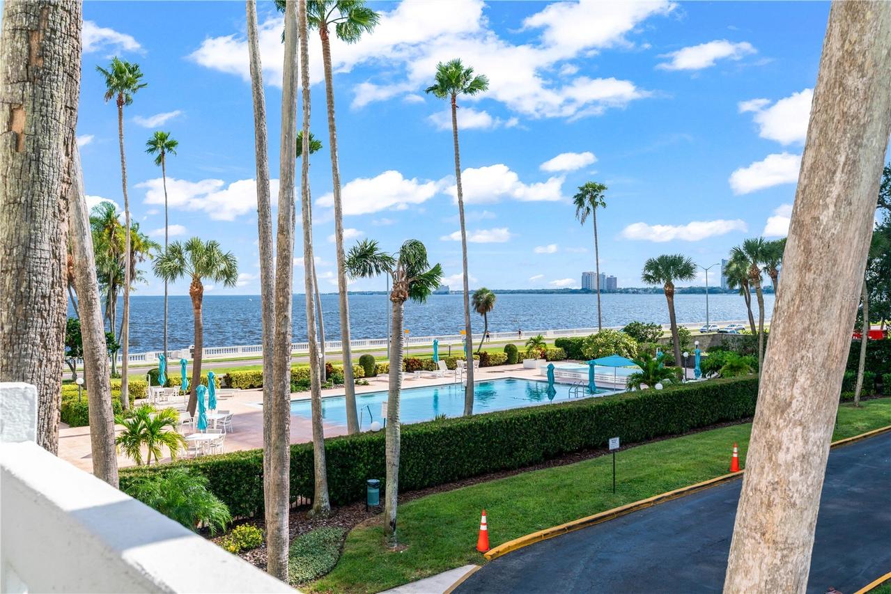2401 Bayshore Blvd. #212, Tampa, FL 33629