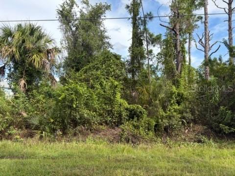 2814 Alesio Ave., North Port, FL 34286