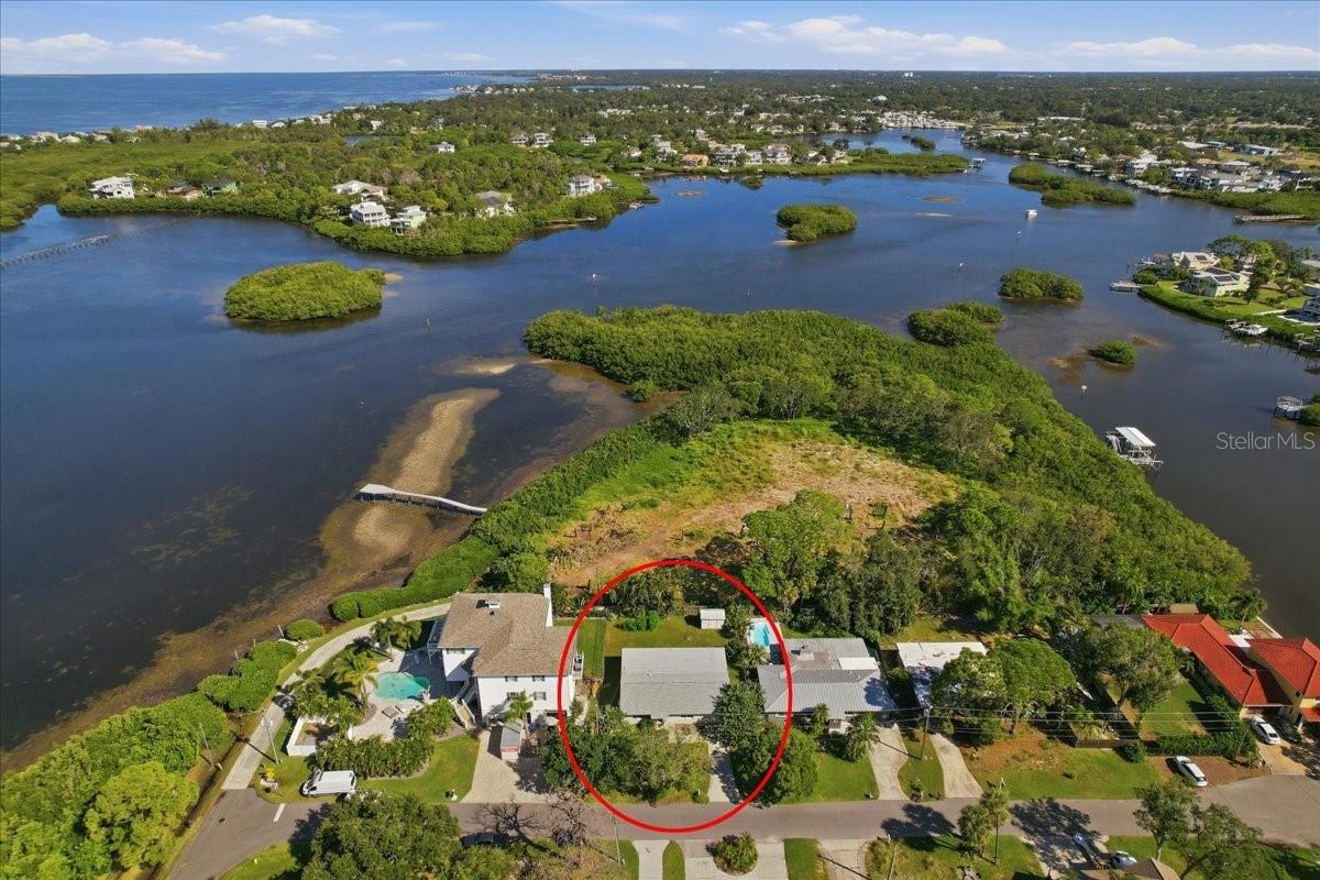 402 Orchid Ln., Palm Harbor, FL 34683