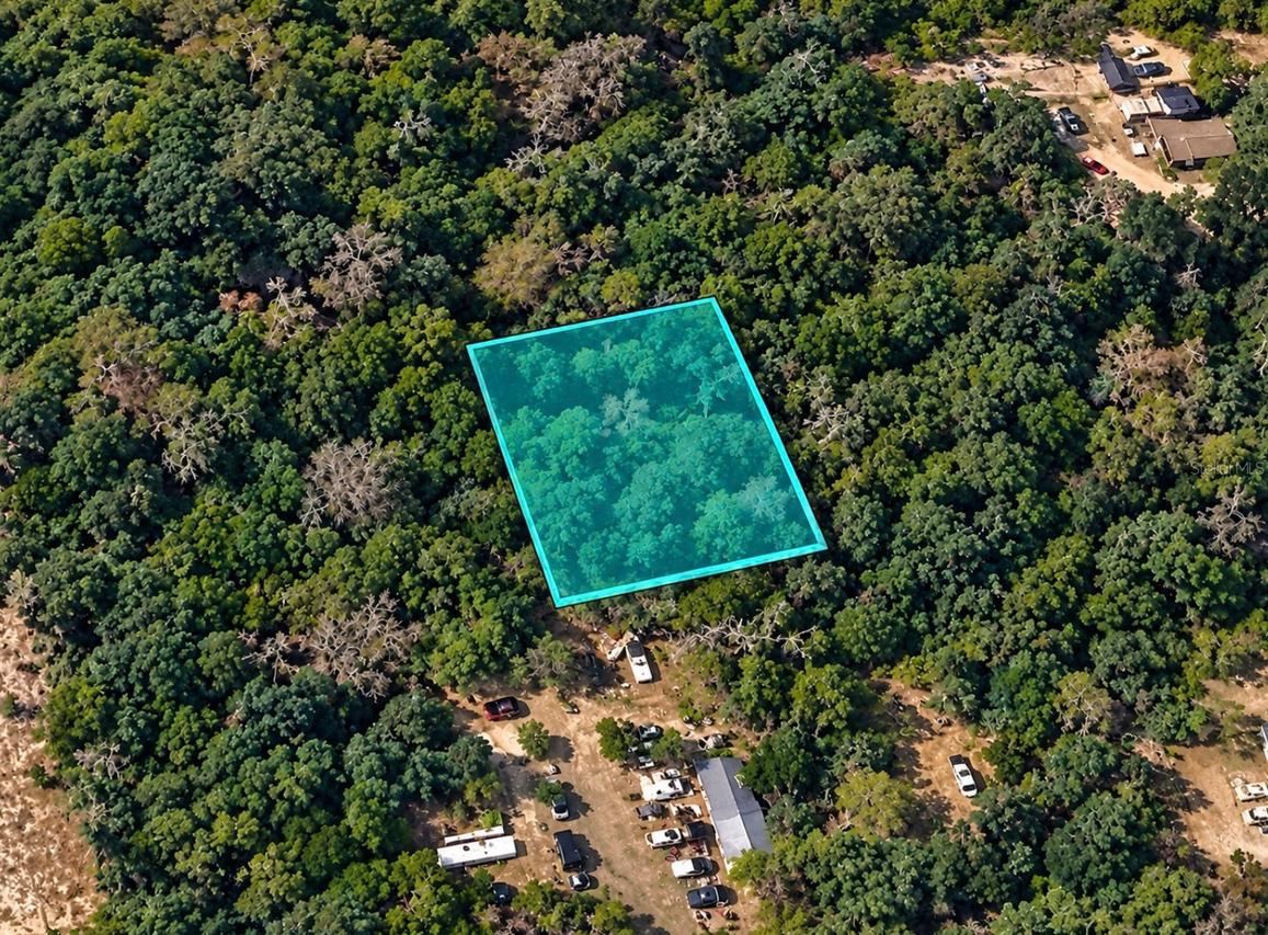 Wadsworth Rd., Mount Dora, FL 32757