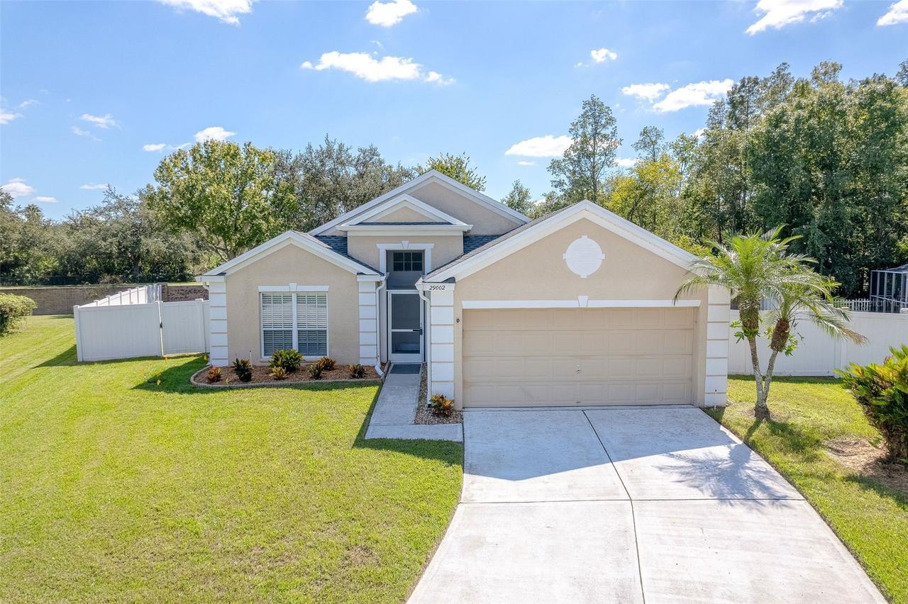 29002 Old Marsh, Wesley Chapel, FL 33543
