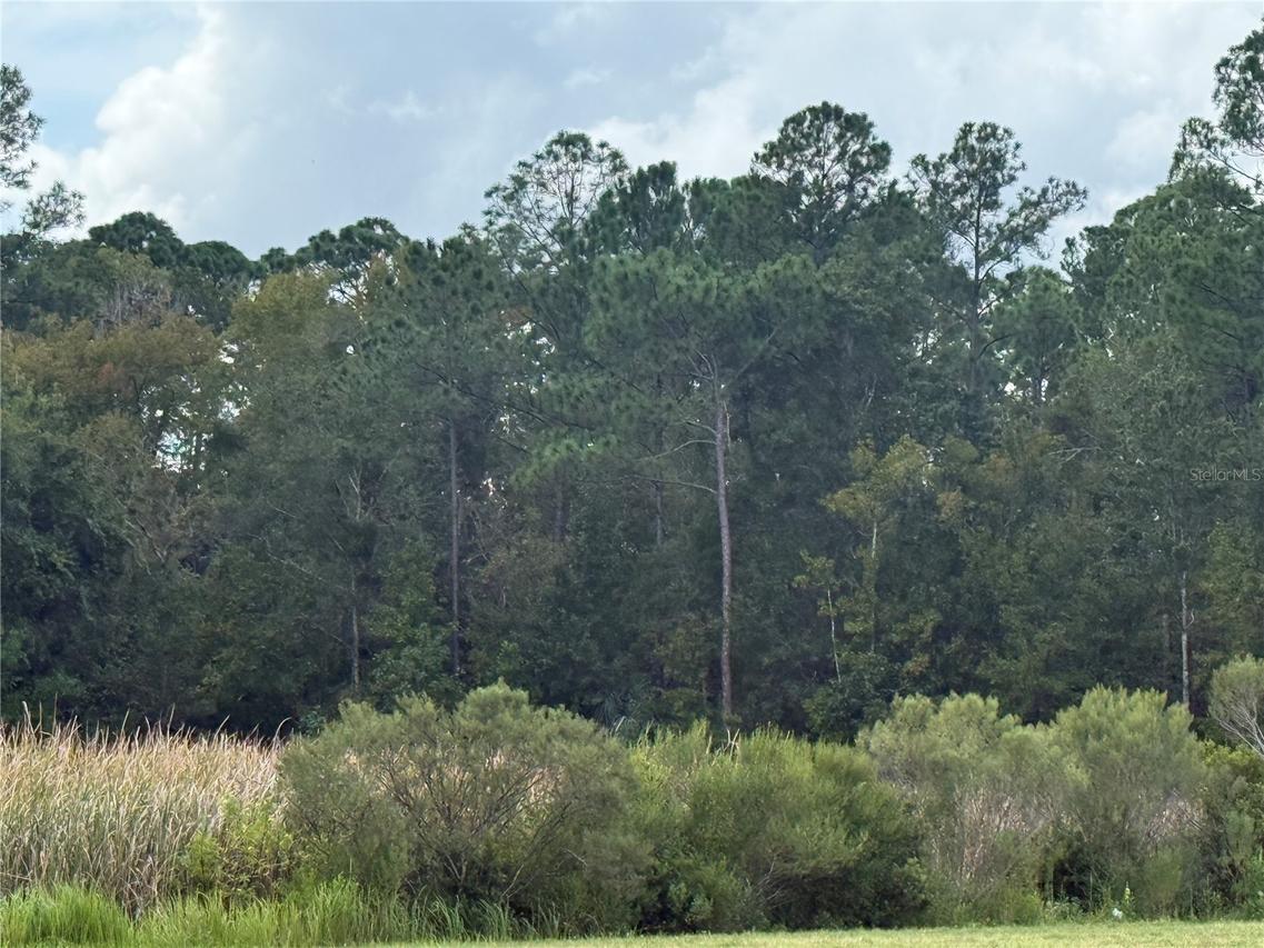 10855 W Homosassa Tr., Homosassa, FL 34448