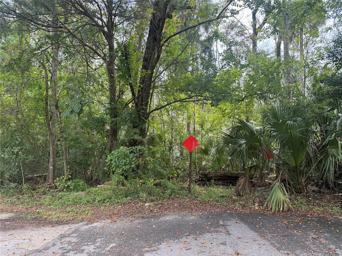 10103 W Main St., Homosassa, FL 34448