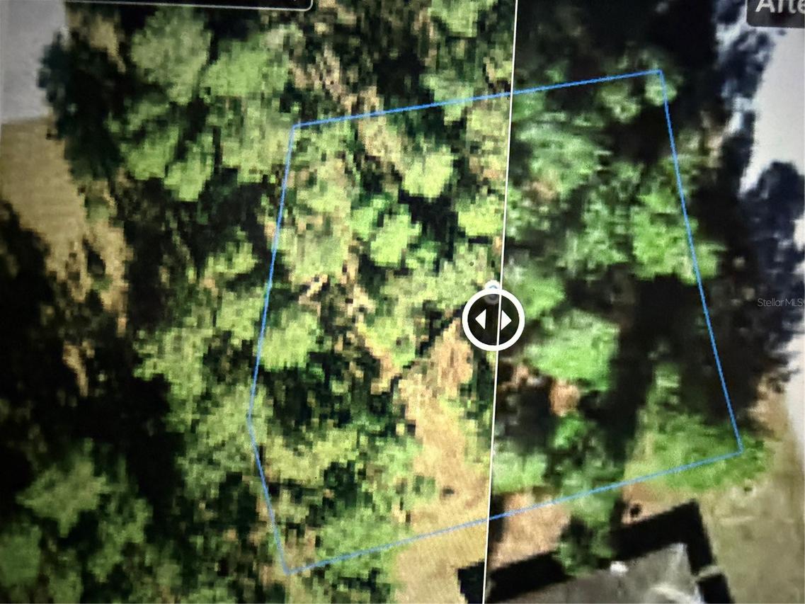 3 Lobelia Ct., Homosassa, FL 34446