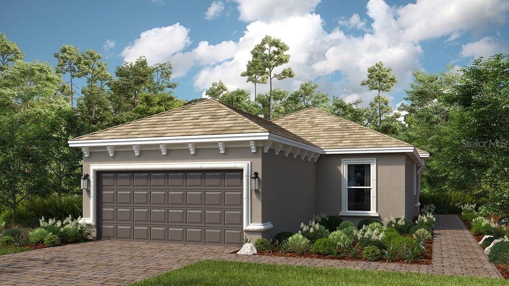 3907 Immacolata Way, Wesley Chapel, FL 33543