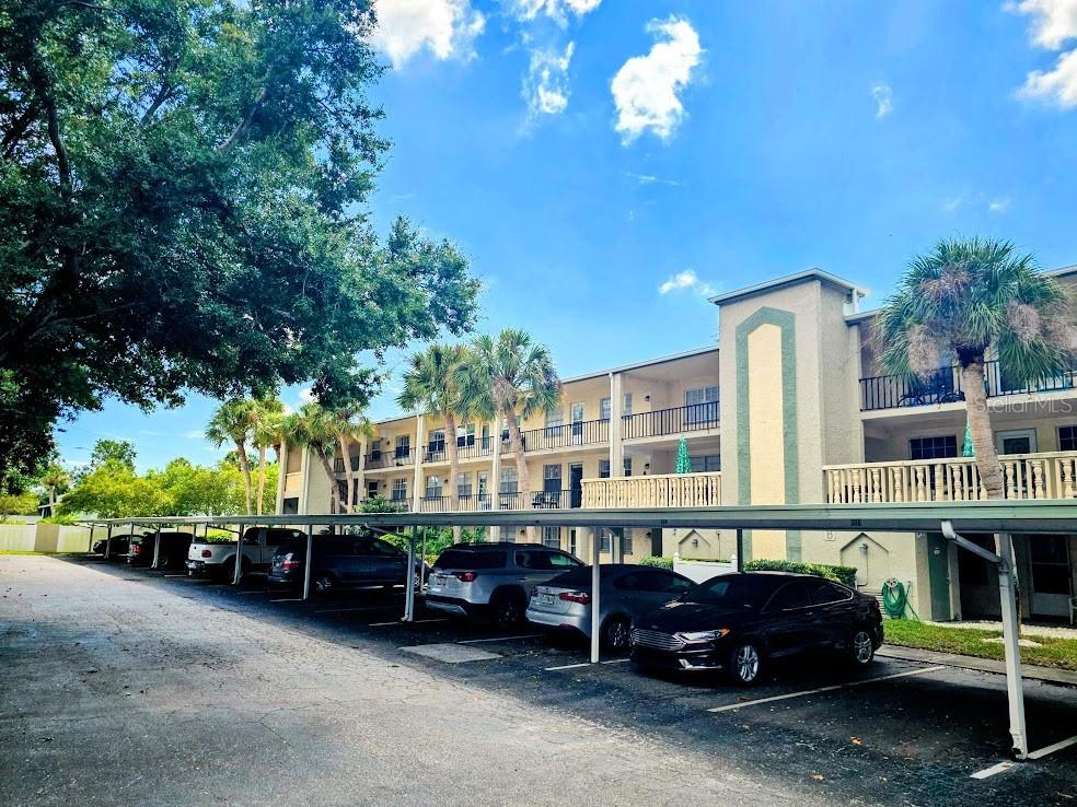 11620 Park Blvd. #303, Seminole, FL 33772