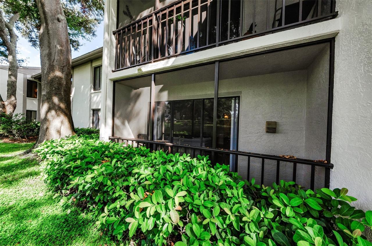 2575 Pine Ridge Way #E1, Palm Harbor, FL 34684