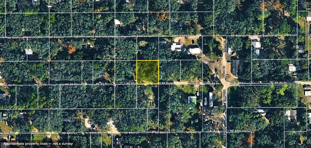 TBD NE 85th Pl., Silver Springs, FL 34488