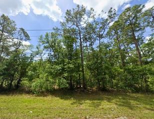 New Homes For Sale This Week in Country Woods: October 2nd to October 8th