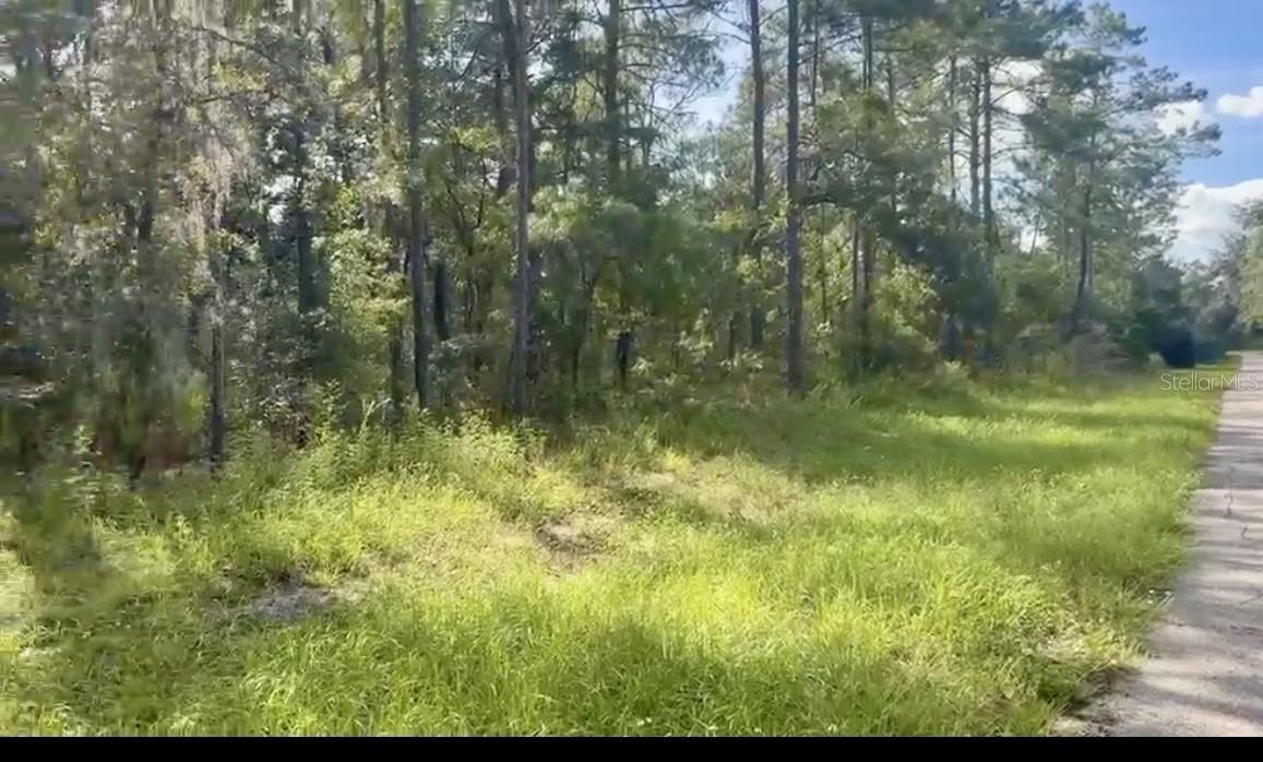 SW 43 Cir., Ocala, FL 34473
