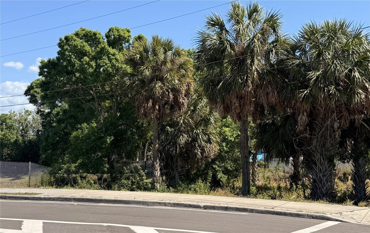 E Live Oak St., Tarpon Springs, FL 34689