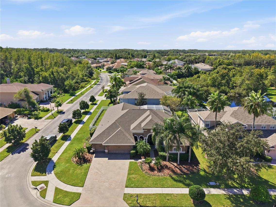 3905 Sorrel Vine Dr., Wesley Chapel, FL 33544