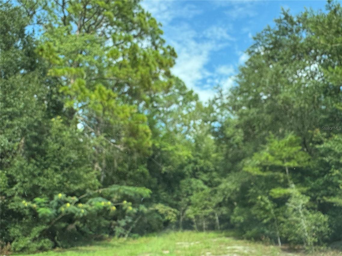 Unassigned, Fort Mc Coy, FL 32134