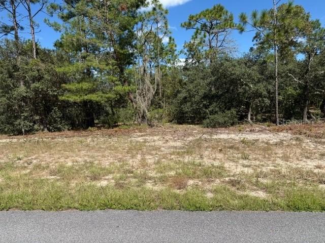 3039 W Naegelia Pl., Citrus Springs, FL 34433