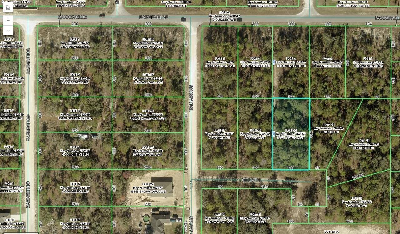 13031 Goliath Ct., Weeki Wachee, FL 34614
