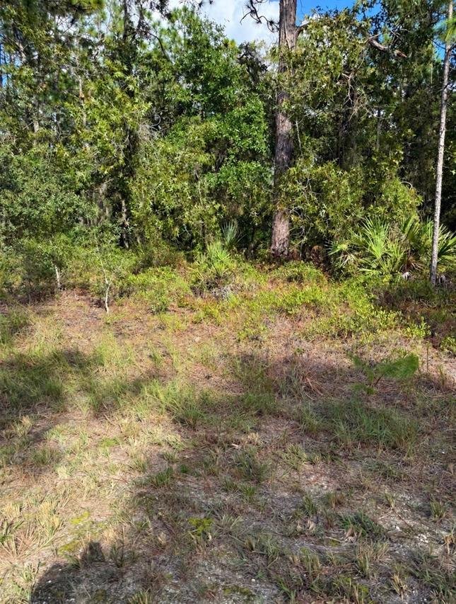 16154 Malden Rd., Weeki Wachee, FL 34614