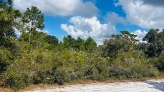 916 (BLK 143 LOT 8) El Dorado Dr., Indian Lake Estates, FL 33855