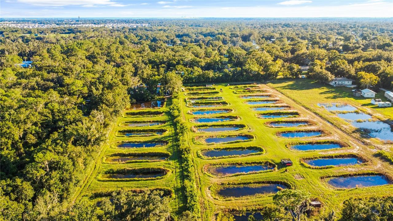 5010 Ruth Morris Rd., Wimauma, FL 33598