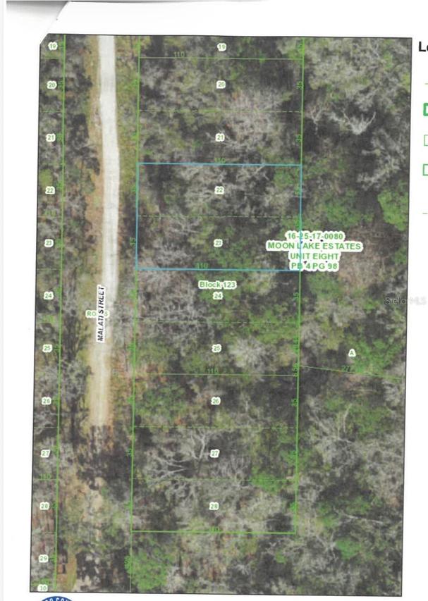 Malati St., New Port Richey, FL 34654