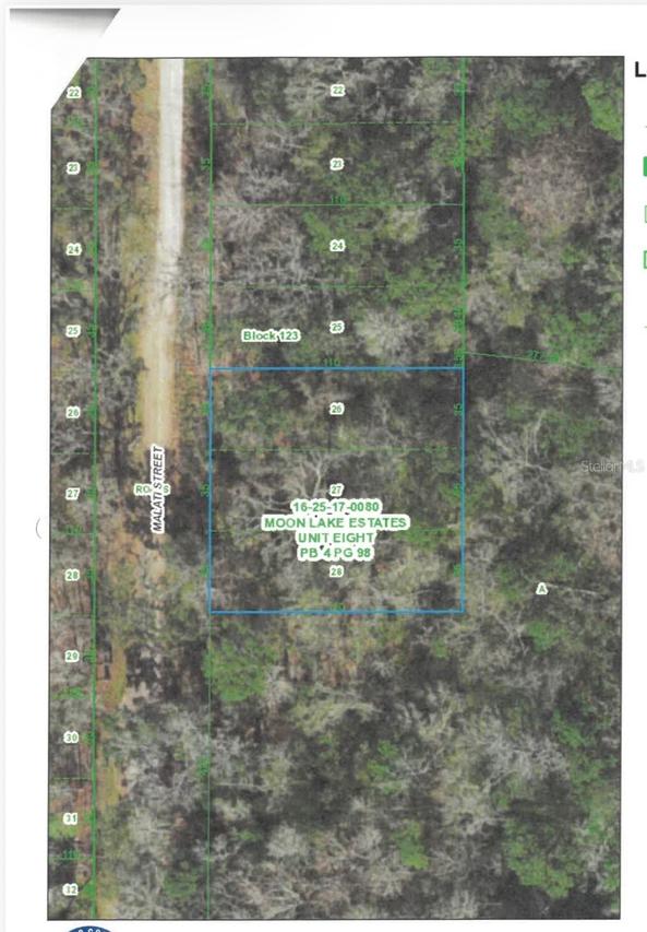 Malati St., New Port Richey, FL 34654