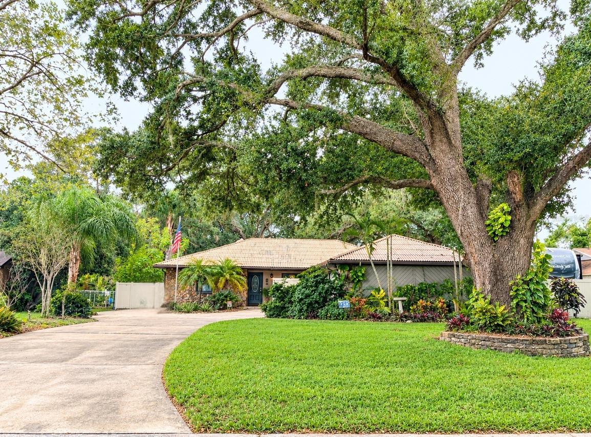 329 Hollowtree Dr., Seffner, FL 33584