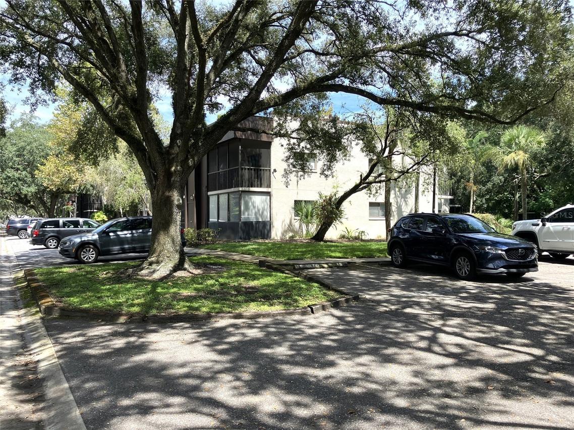 11703 Raintree Village Blvd. #B, Temple Terrace, FL 33617