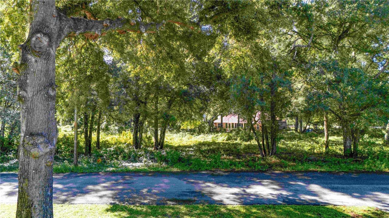 00 Diplomat St., Dade City, FL 33523