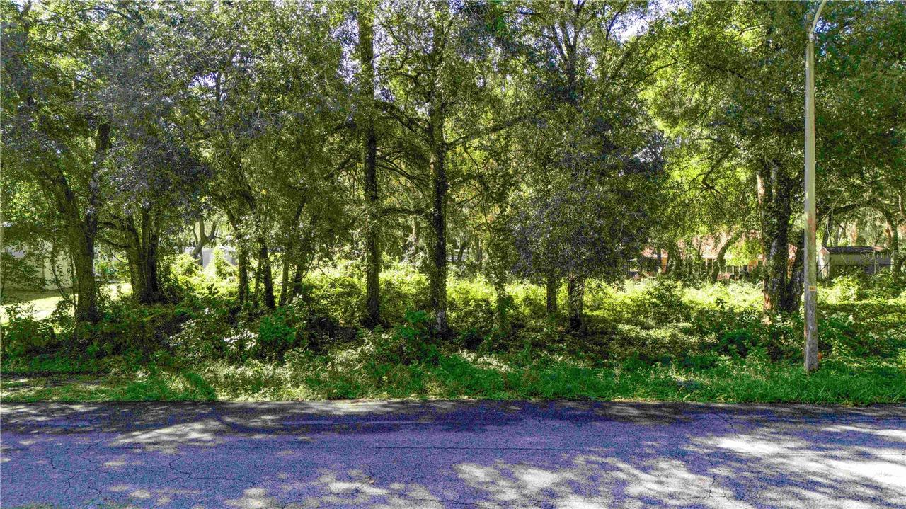 34032 Diplomat St., Dade City, FL 33523