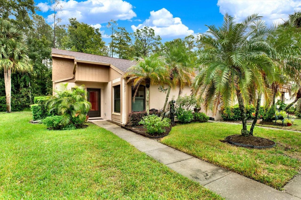 3433 Hillmoor Dr., Palm Harbor, FL 34685
