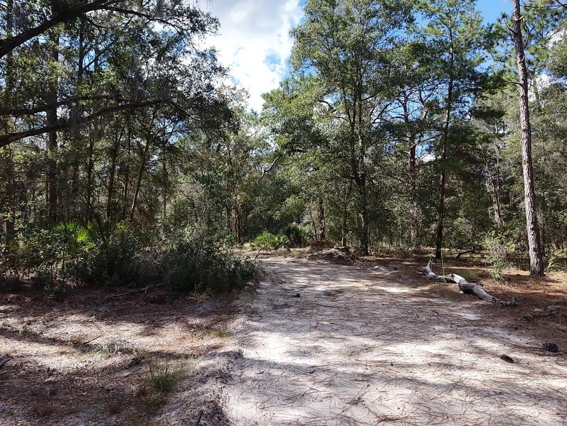 7416 N Nathan Point, Crystal River, FL 34428