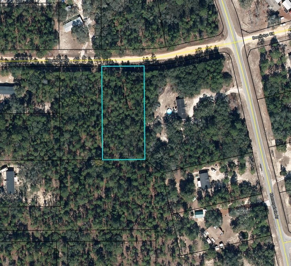 5615 Deerlodge St., Keystone Heights, FL 32656