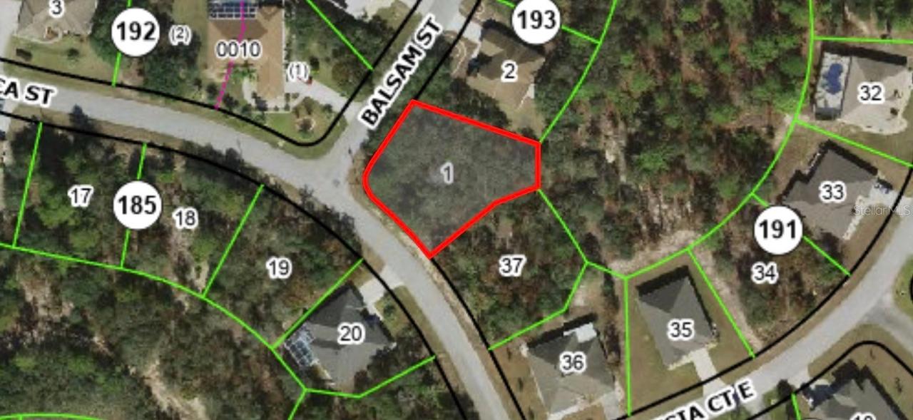 41 Balsam St., Homosassa, FL 34446