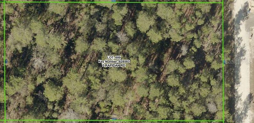 18183 Rapidan Rd., Weeki Wachee, FL 34614