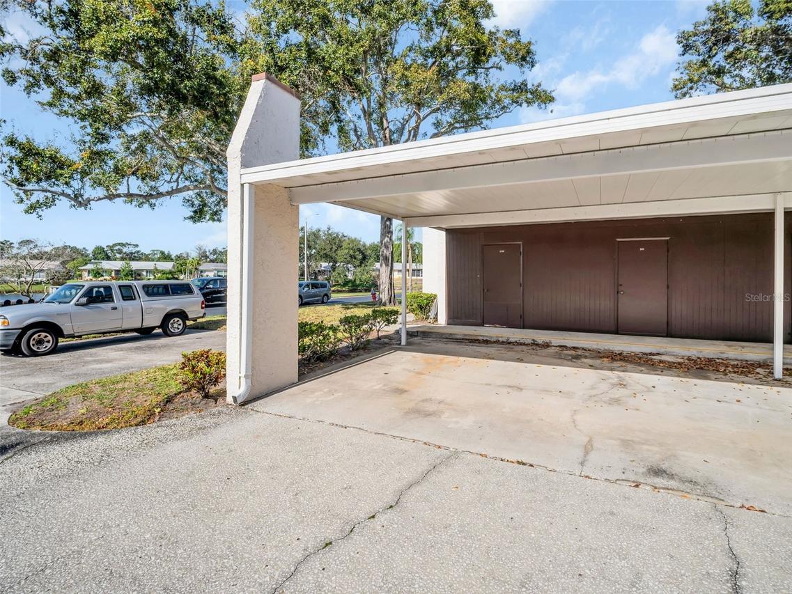 3109 Mission Grove Dr. #D, Palm Harbor, FL 34684