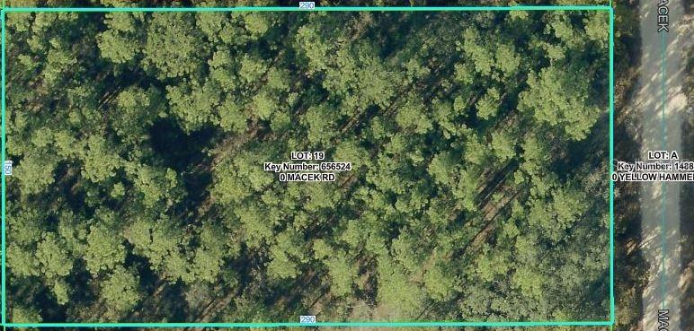 18379 Macek Rd., Weeki Wachee, FL 34614